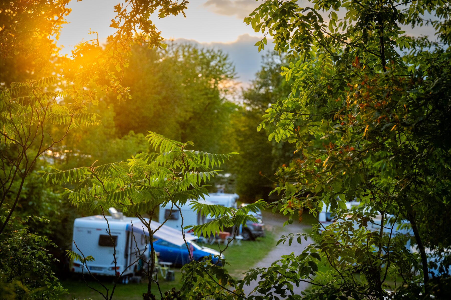 Campingplatz im Abendlicht